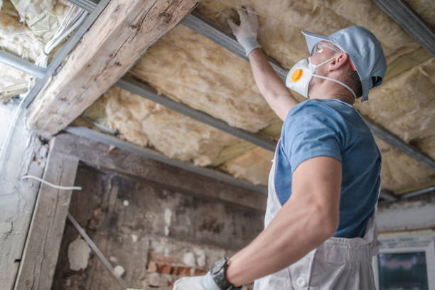 Trusted Alamosa East, CO Insulation Contractor Experts
